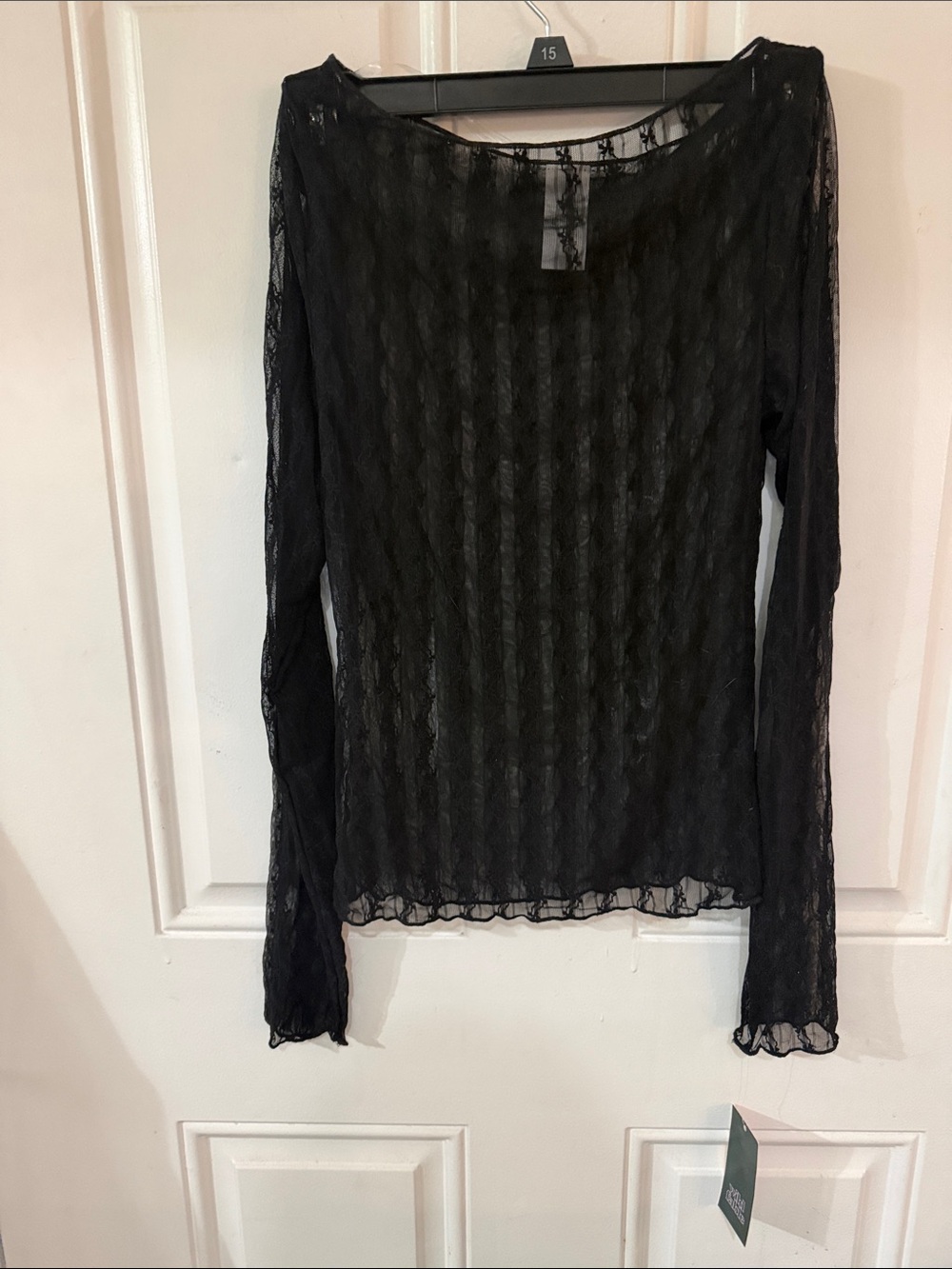wild fable Black Sheer Lace Long-Sleeve Top